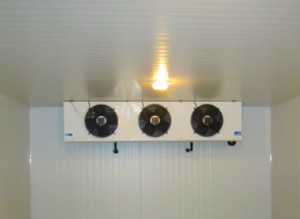 contenido imagen 2 300x219